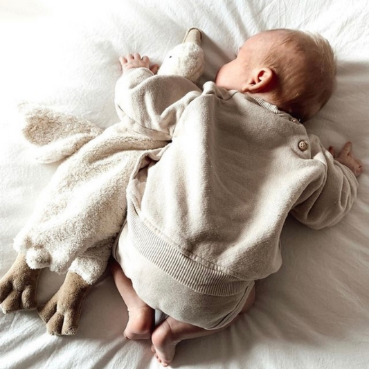 Senger warmte knuffel gans klein wit knuffelend met een baby