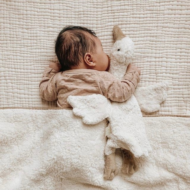 Senger warmte knuffel gans klein wit in bed
