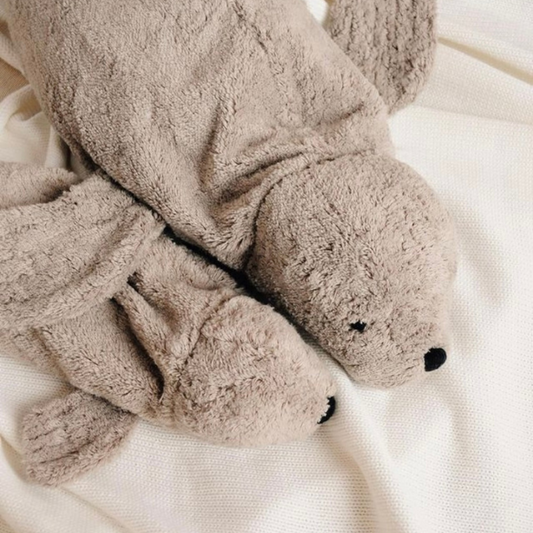 Senger warmte knuffel zeehond klein grijs voorbeeld