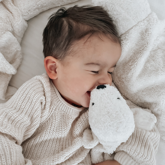 Senger warmte knuffel zeehond klein wit met een kindje