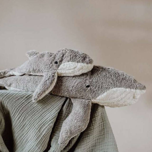 Senger warmte knuffel walvis groot en klein