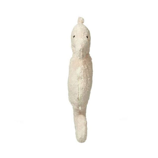 Senger naturwelt zeepaard voorkant