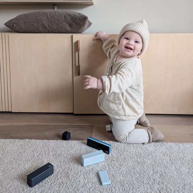 Tegu houten magnetische blokken blauw 14 stuks set