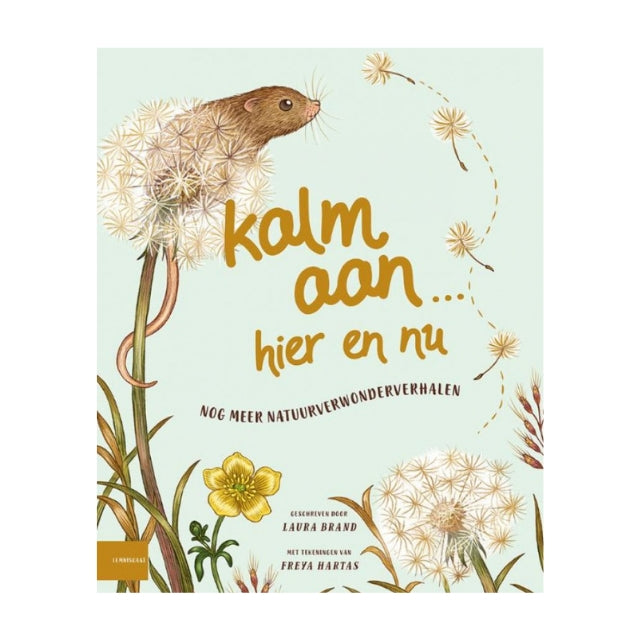 boek kalm aan