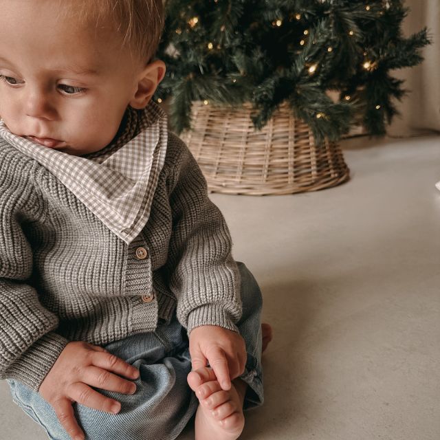 Grijs geruite sjaal kids en baby met grijs vestje van hvid
