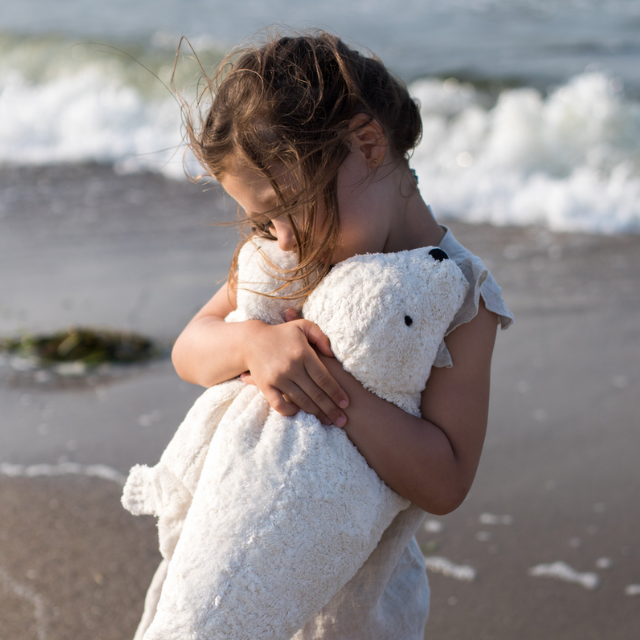 Senger warmte knuffel zeehond groot wit op het strand