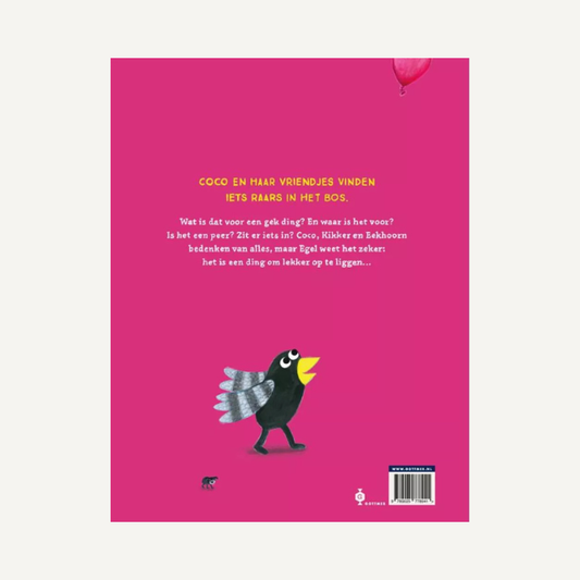 coco en het gekke ding kinderboek leesboek prentenboek voorleesboek