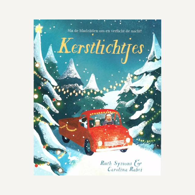 kinderboek leesboek prentenboek kerstboek kerstlichtjes