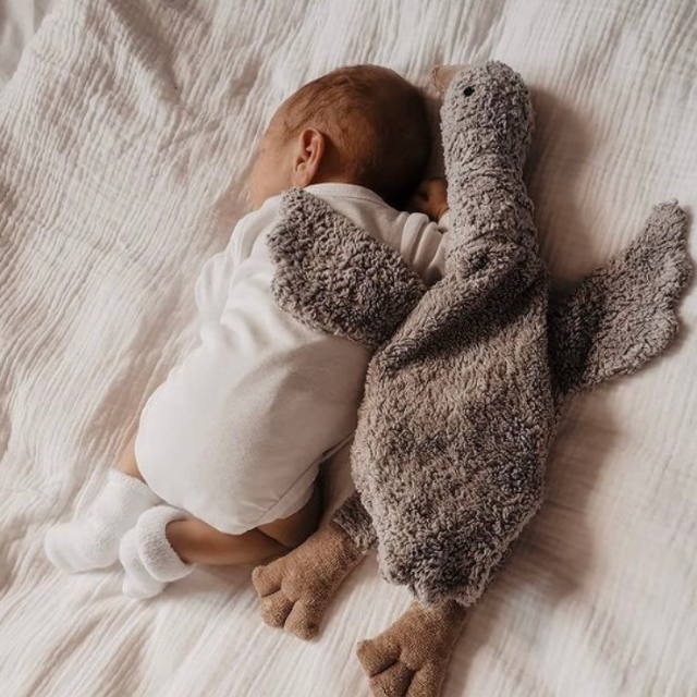Senger warmte knuffel gans klein grijs in bed